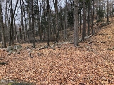 Lake Lot For Sale in Greentown, Pennsylvania