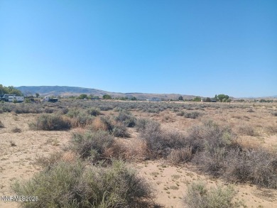 Lake Lahontan Acreage For Sale in Silver Springs Nevada
