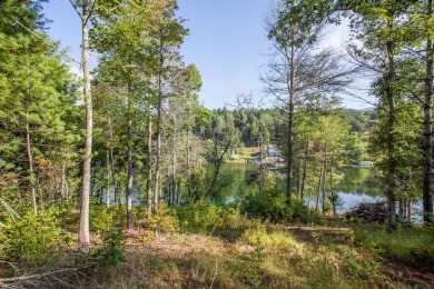 Lake Lot For Sale in Robbinsville, North Carolina