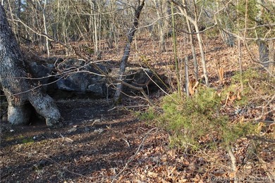 PRISTINE LAKEFRONT LOT ON PRIVATE POCAHONTAS LAKE! Lot 46 offers - photo 11