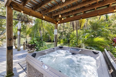 Weeki Wachee River Home For Sale in Weeki Wachee Florida