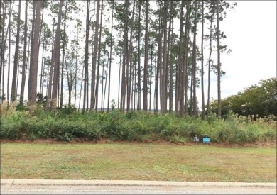 (private lake, pond, creek) Lot For Sale in Saint Marys Georgia