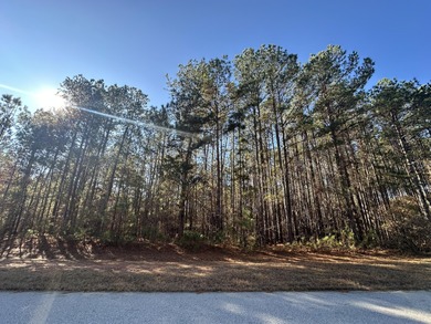 Strom Thurmond / Clarks Hill Lake Lot For Sale in Tignall Georgia