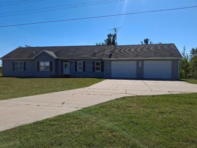 Lake Home For Sale in Evart, Michigan