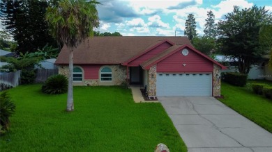 (private lake, pond, creek) Home For Sale in Brandon Florida