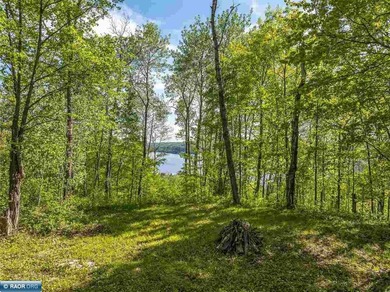Private 6+ Acre Retreat at Giants Ridge, tucked into the woods - photo 5