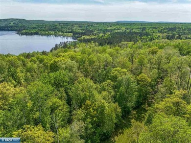 Private 6+ Acre Retreat at Giants Ridge, tucked into the woods - photo 6