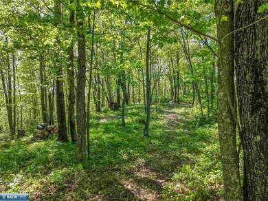 Private 6+ Acre Retreat at Giants Ridge, tucked into the woods - photo 9