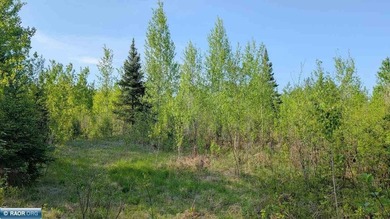 Beautiful acreage in Embarrass! This stunning property offers - photo 1