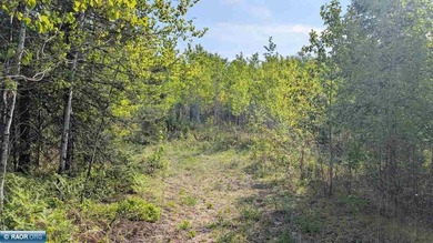 Beautiful acreage in Embarrass! This stunning property offers - photo 2