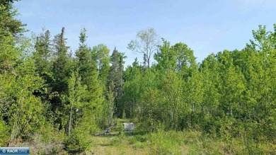 Beautiful acreage in Embarrass! This stunning property offers - photo 3
