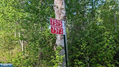 Beautiful acreage in Embarrass! This stunning property offers - photo 4