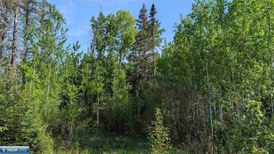 Beautiful acreage in Embarrass! This stunning property offers - photo 6