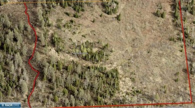 Beautiful acreage in Embarrass! This stunning property offers - photo 7