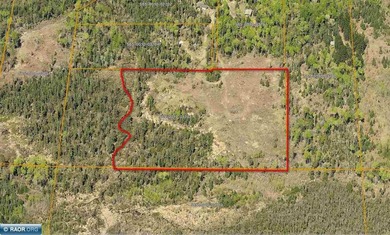Beautiful acreage in Embarrass! This stunning property offers - photo 8