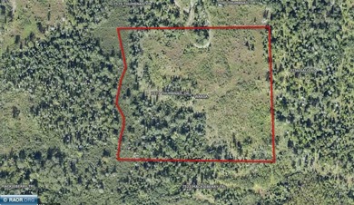 Beautiful acreage in Embarrass! This stunning property offers - photo 9
