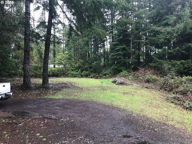 Here's your chance to own two side-by-side residential tax lots - photo 7