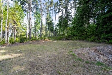 Here's your chance to own two side-by-side residential tax lots - photo 10