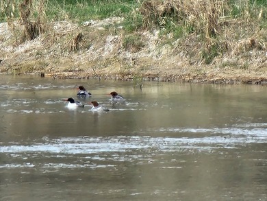 The Lazy K6 Ranch includes 7,000+/- deeded acres along the - photo 11