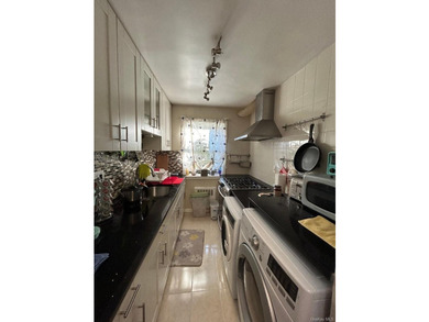 Totally Renovated Clearview One Bedroom Lower Level Unit (Size 3 - photo 2