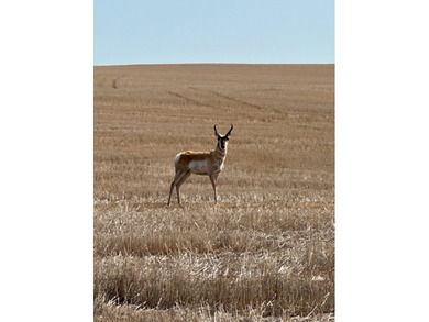The Lazy K6 Ranch includes 7,000+/- deeded acres along the - photo 12