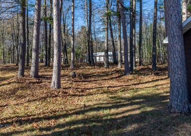 Completely renovated and charming property on wooded 0.75 Acre - photo 16