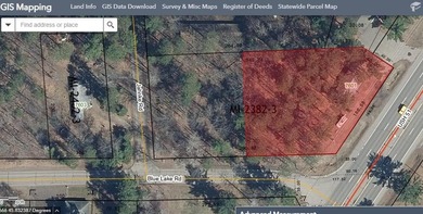 Completely renovated and charming property on wooded 0.75 Acre - photo 17