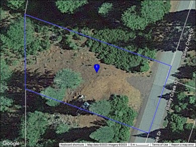 Lake Lot For Sale in Lake Almanor, California