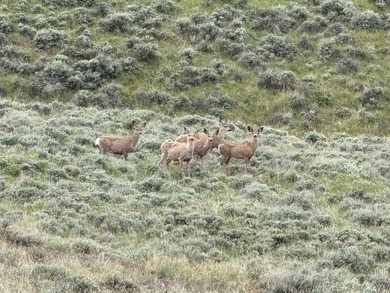 The Lazy K6 Ranch includes 7,000+/- deeded acres along the - photo 32