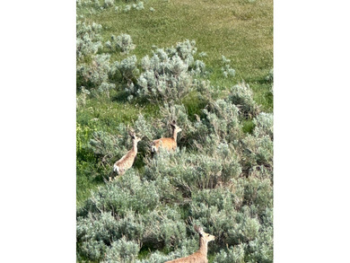 The Lazy K6 Ranch includes 7,000+/- deeded acres along the - photo 33