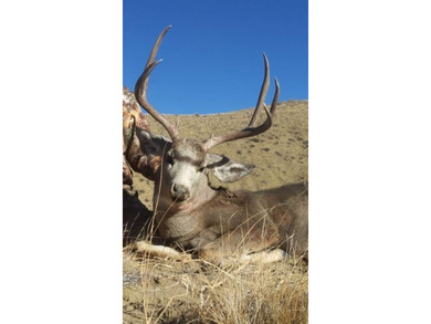 The Lazy K6 Ranch includes 7,000+/- deeded acres along the - photo 40