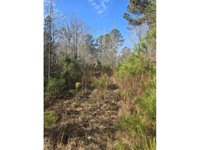 Strom Thurmond / Clarks Hill Lake Acreage For Sale in Lincolnton Georgia