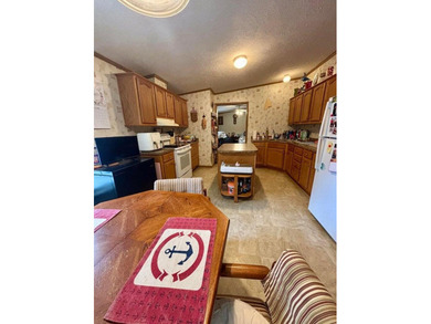 This well-maintained 3-bedroom, 2-bath double wide offers - photo 11