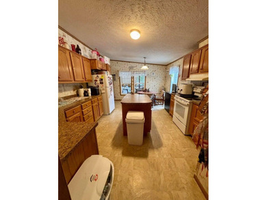 This well-maintained 3-bedroom, 2-bath double wide offers - photo 12
