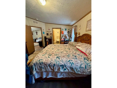 This well-maintained 3-bedroom, 2-bath double wide offers - photo 16