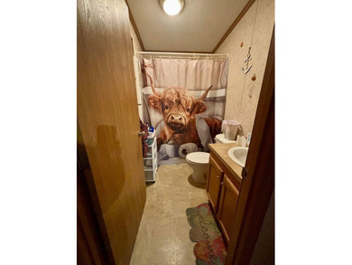 This well-maintained 3-bedroom, 2-bath double wide offers - photo 20