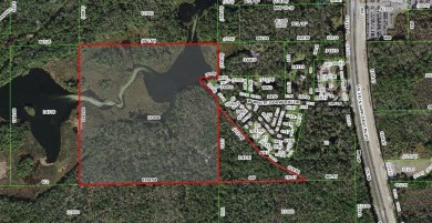 (private lake, pond, creek) Home For Sale in Homosassa Florida