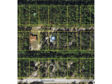 Lake Weohyakapka Lot For Sale in Indian Lake Estates Florida