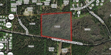 Withlacoochee River Acreage Sale Pending in Dunnellon Florida