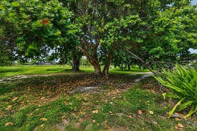 LAND LAND LAND - Exceptional value-add investment opportunity in - photo 43