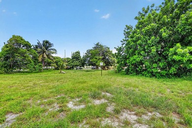 LAND LAND LAND - Exceptional value-add investment opportunity in - photo 50