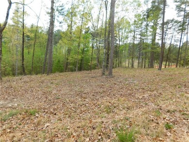 Private gentle lot with mountain views and also Offers some lake - photo 3