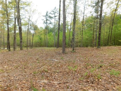 Private gentle lot with mountain views and also Offers some lake - photo 4
