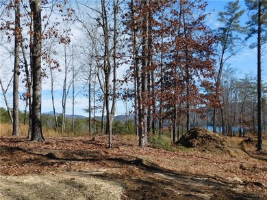 Private gentle lot with mountain views and also Offers some lake - photo 6