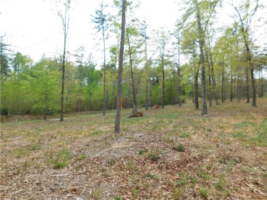 Lake Lot For Sale in Salem, South Carolina