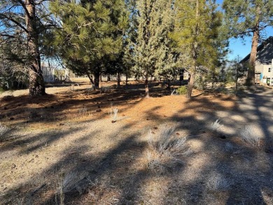 Lake Lot For Sale in Weed, California