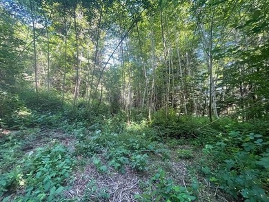 One of the last great golf course frontage lots on Bell Hole - photo 2