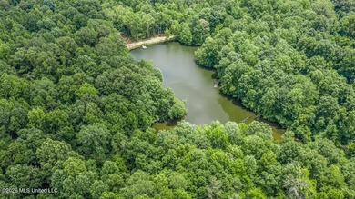 Are you a Mississippi Delta duck hunter? If so, check this - photo 3