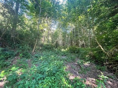 One of the last great golf course frontage lots on Bell Hole - photo 7