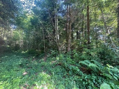 One of the last great golf course frontage lots on Bell Hole - photo 8